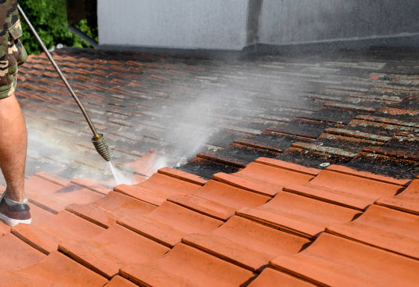 Professional Pressure Washing in North Redington Beach, FL