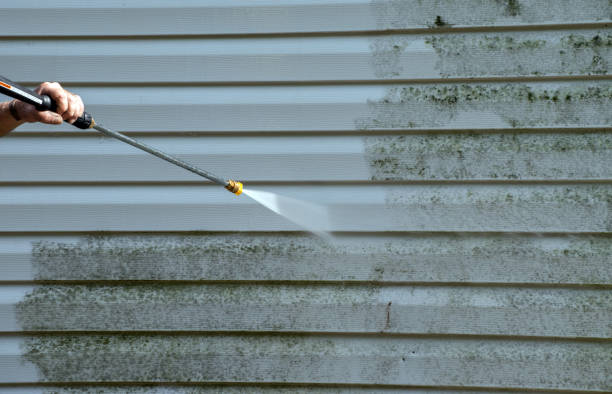 Best Deck Pressure Washing  in North Redington Beach, FL